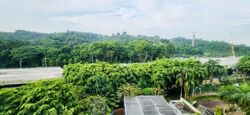 Caribbean At Keppel Bay (D4), Condominium #591275731